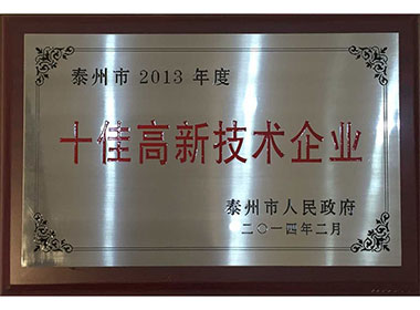 十佳高新技術企業