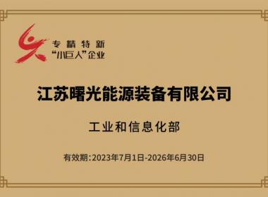 國家專精特新“小巨人”企業